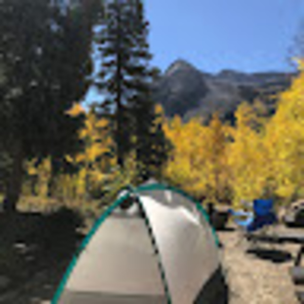 Meet your Posher, Chad